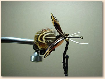 Step 7