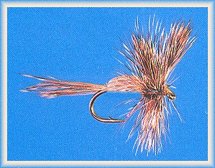 Horner's Deer Hair