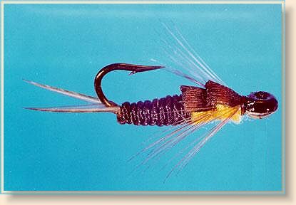 Holey Head Flies