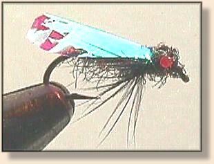 Monarchos Horse Fly