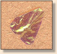 Cut Wing
