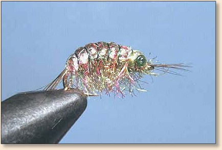 Iridescent Flashback Scud