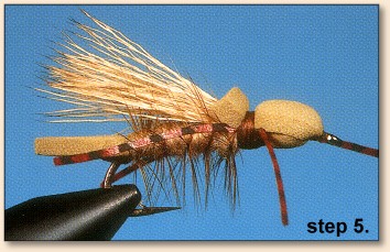 Step 5