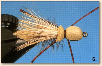 Step 6