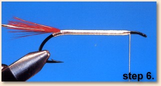 Step 6