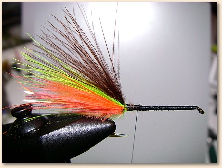 Step 4