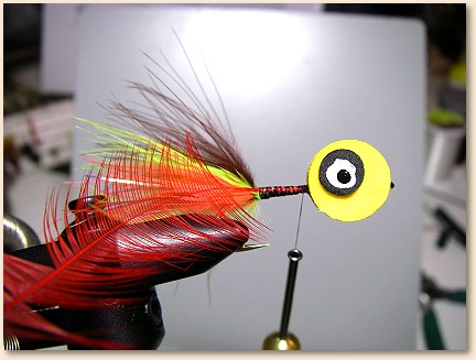 Step 5