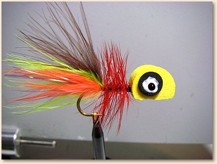 Step 5