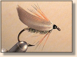Leadwing Coachman