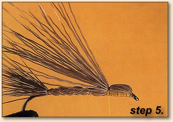 Step 5