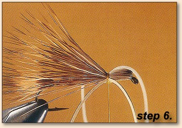 Step 6