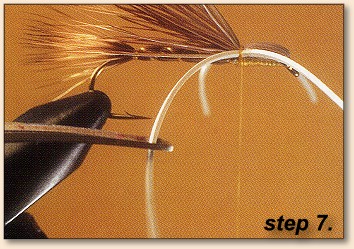 Step 7
