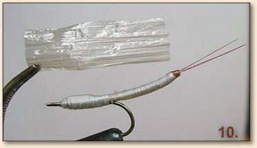 Step 10