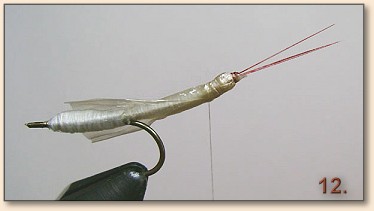 Step 12