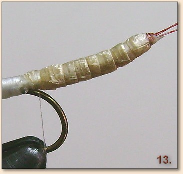 Step 13
