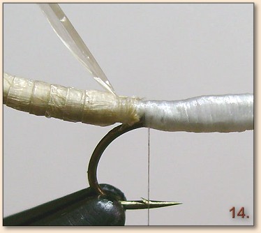 Step 14