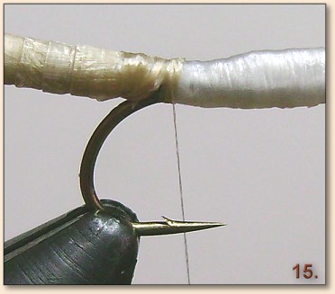 Step 15