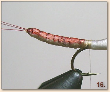 Step 16