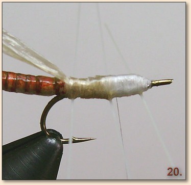 Step 20