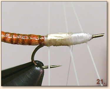 Step 21