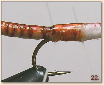 Step 22