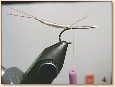 Step 4