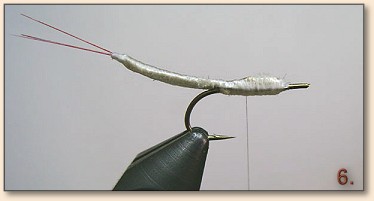 Step 6