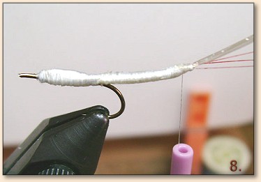 Step 8