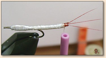 Step 9