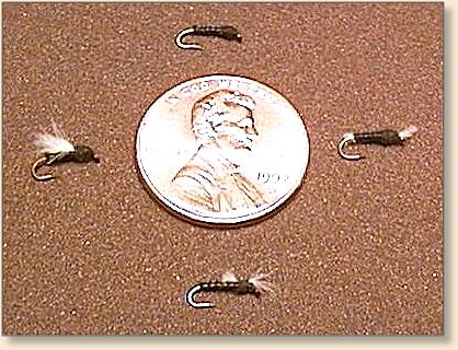 Biot Midges