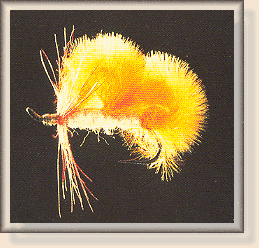 Marabou Spawn Sac