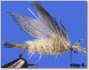 step 4