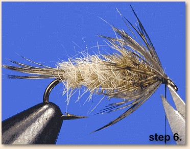 step 6