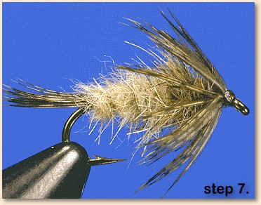 step 7