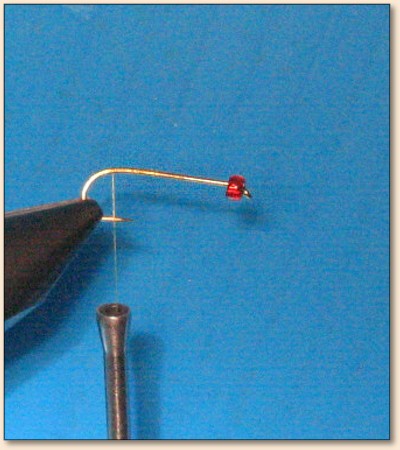 Step 2
