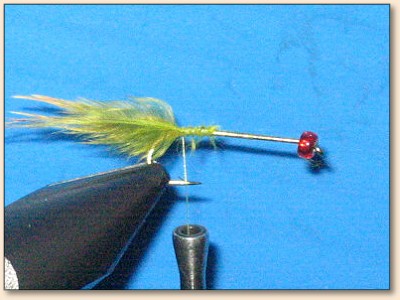 Step 5