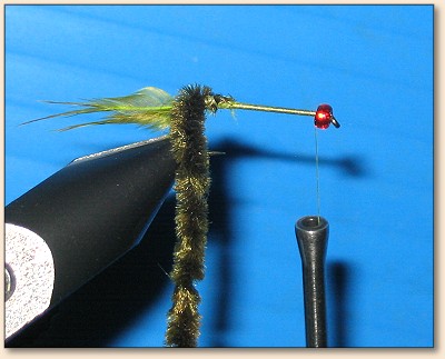 Step 6