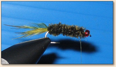 Step 7
