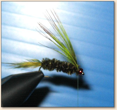 Step 8
