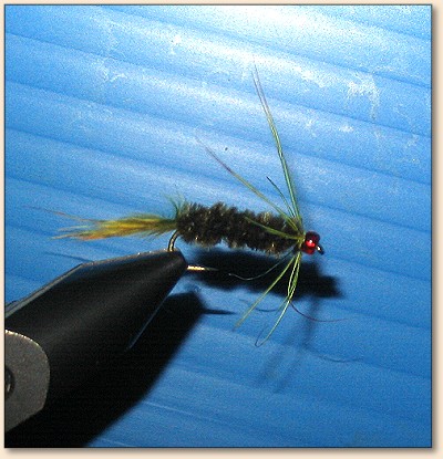 Step 9