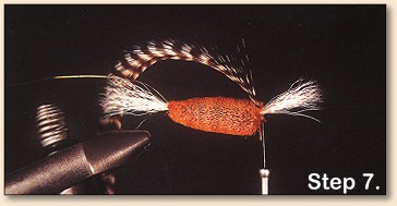 step 7