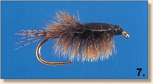 Ostrich Mayfly Nymph