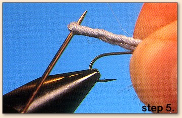 Step 5