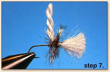Step 7