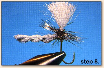 Step 8