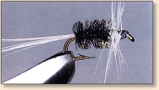 Peg's Midge Dry