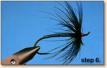step 6