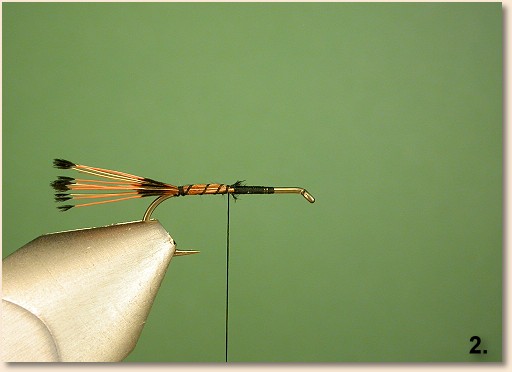 Step 2