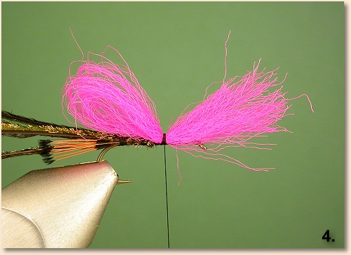 Step 4