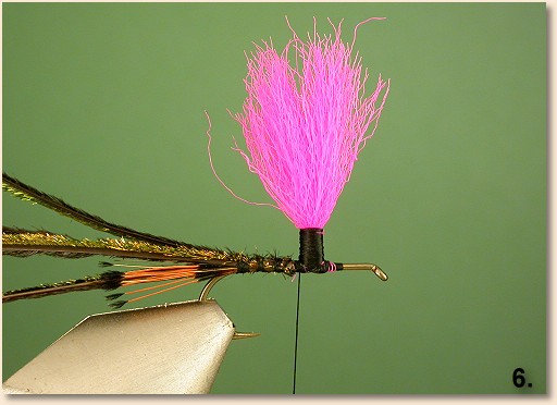 Step 6